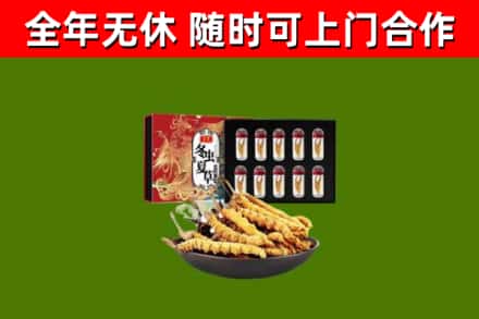 新罗区回收冬虫夏草价格